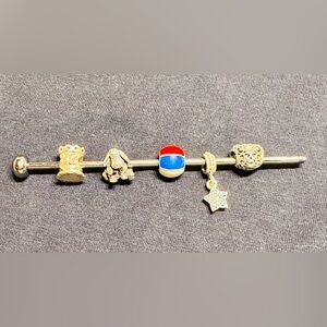 Pandora Silver Charms ( for theme parks)